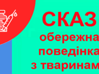94669cb7 19f1 4a11 966d Ab54756b6c16 (1)