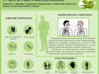 File 67dd41e7a0340