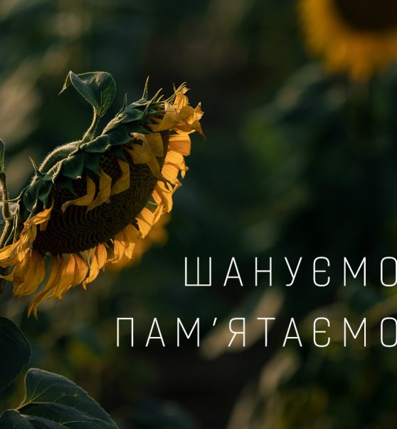 64f0c1180e91c408535488 730x410