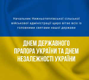 Blue Yellow Flag We Stand With Ukraine Instagram Post