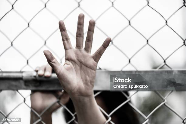 Stop Abusing Woman Violence, Human Rights Day Concept.