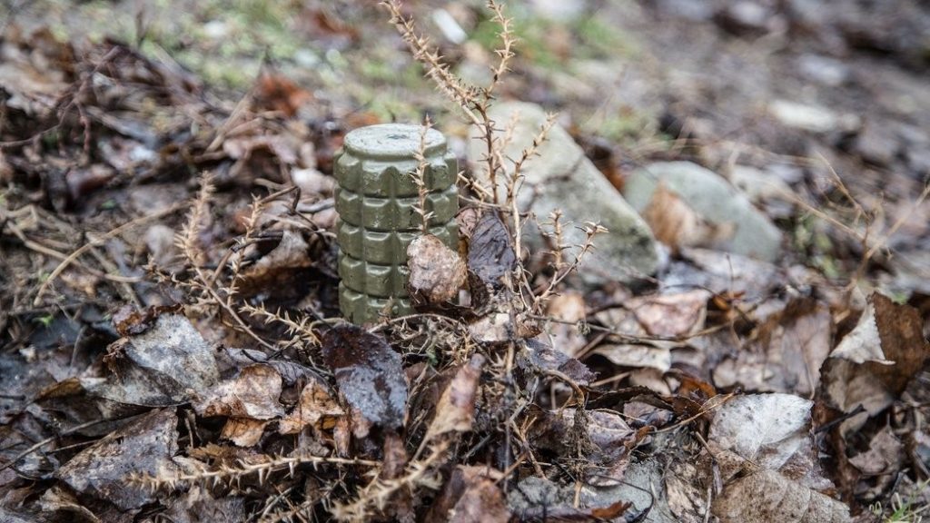 Mceu 85098739811694594446996