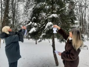 640310812 122272314632204436 7516414368564375830 N