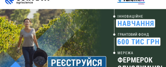 34113e8b 249e 4874 9514 Ec03c3aea8a5
