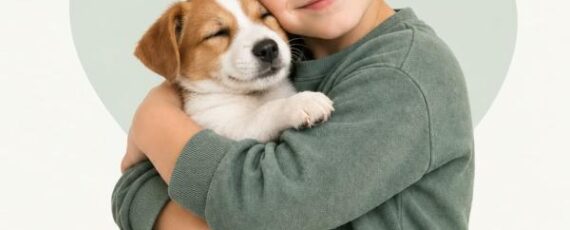 Poster 2